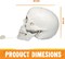 Skull Halloween Decorations Indoor Table Desk Home Decor Haunted House Halloween Animatronics Sound Activated LED Lights Up Eyes Party Supplies Animated Skull Scary Moving Eyeballs